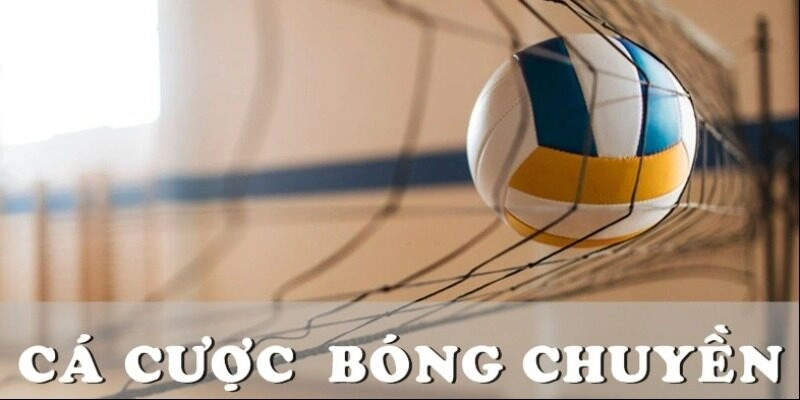 Cá cược bóng chuyền là gì?