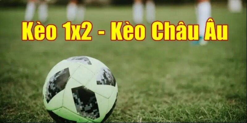 Hướng dẫn cá cược kèo châu Âu đơn giản